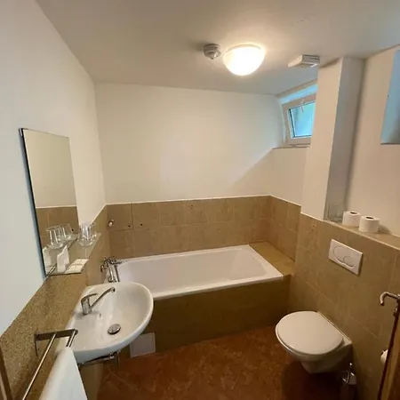 Hotel Pastviny فندق