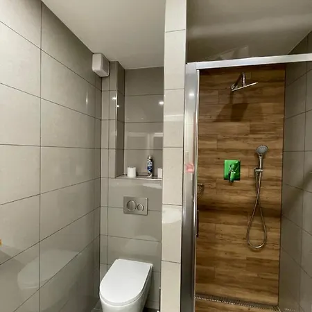 فندق Hotel Pastviny *