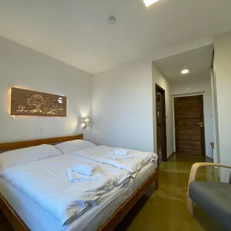 فندق Hotel Pastviny