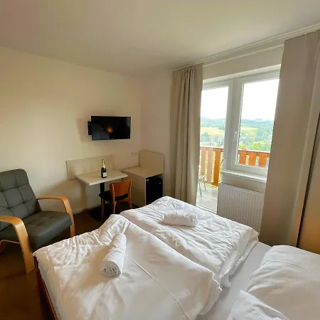 Hotel Pastviny *