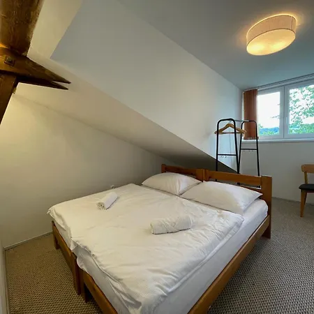 Hotel Pastviny *