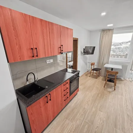 Отель Wellness Apartmany Pastviny *