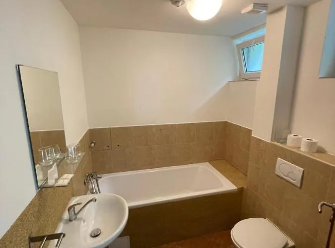 Hotel Pastviny فندق