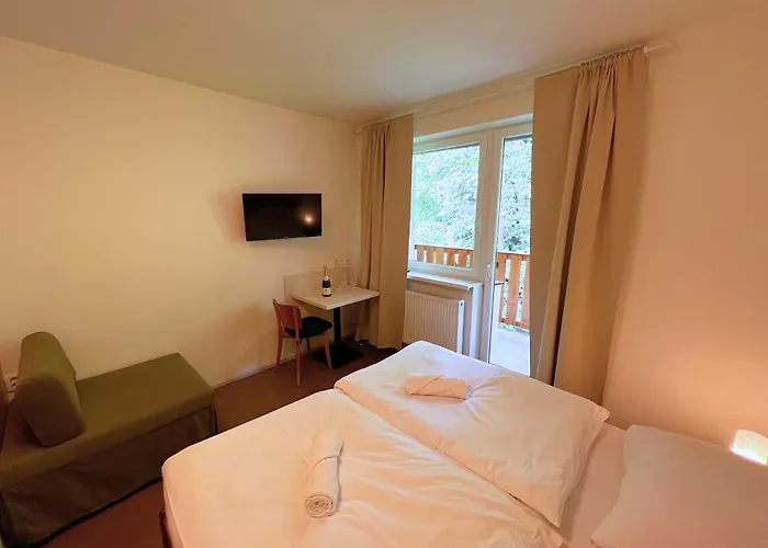 Hotel Pastviny Hotel Pastviny